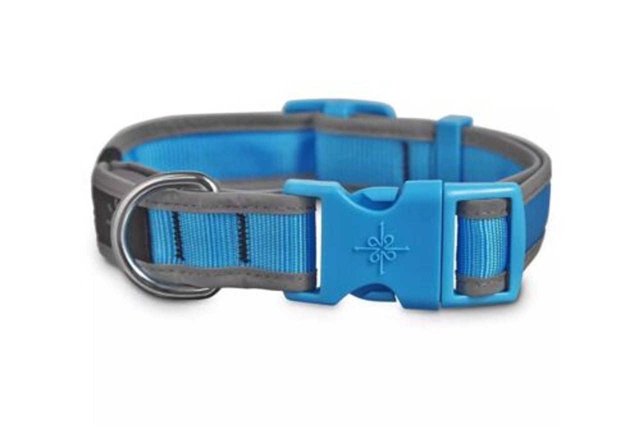 Good2Go LED Light-Up Collar for Dogs in Blue, Small - GOODSZON Discount Store