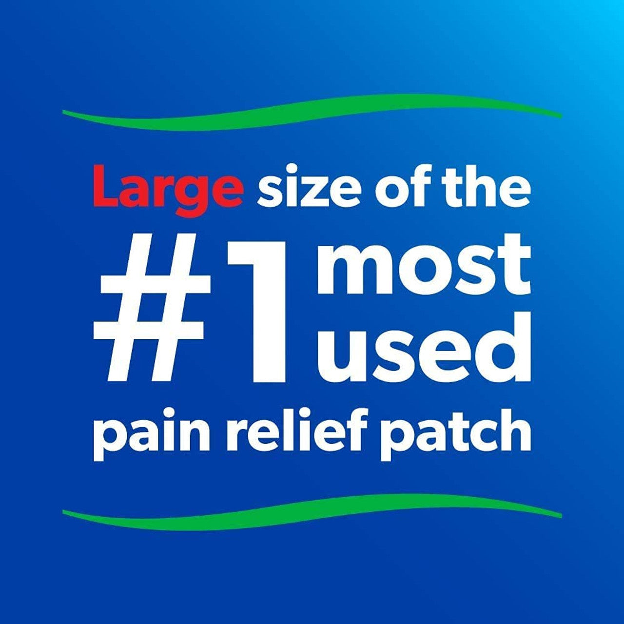 Salonpas Pain Relieving Patch 60 pc Exp 2025 - GOODSZON Discount Store