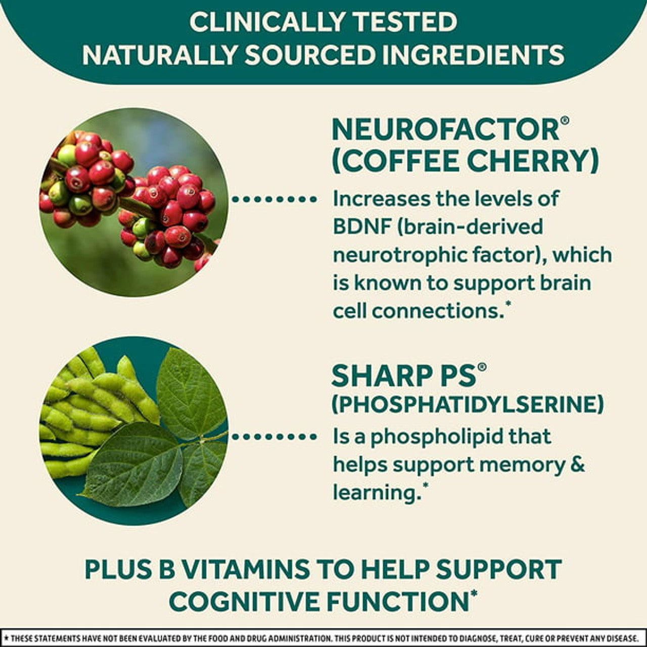 Neuriva Plus Brain Health Support Strawberry Gummies (50 count), Brain Support With Phosphatidylserine, Vitamin B6 & Decaffeinated, Clinically Proven Coffee Cherry - GOODSZON Discount Store