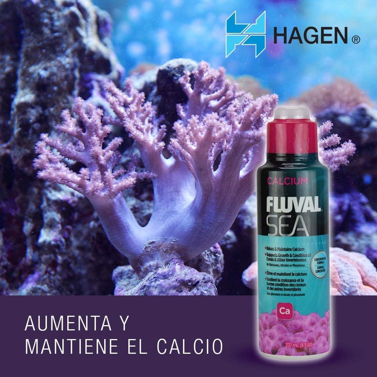 Fluval Sea Calcium, 8 Oz - GOODSZON Discount Store