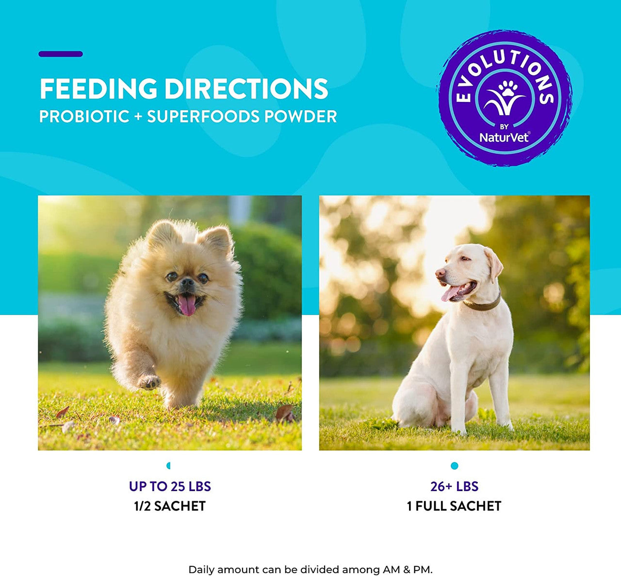 NaturVet Evolutions Probiotic + Superfoods Digestive Powder 30 Sachets Dogs - GOODSZON Discount Store