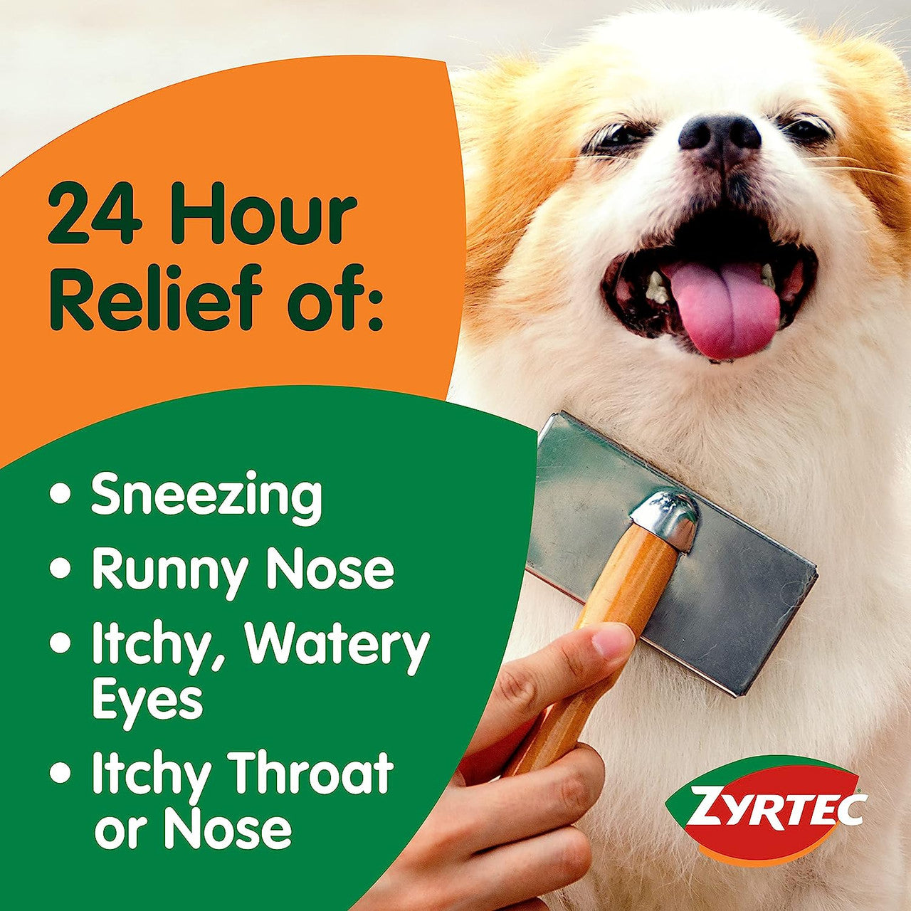 Zyrtec 24 Hour Allergy Relief Antihistamine Capsules, 25 ct - GOODSZON Discount Store