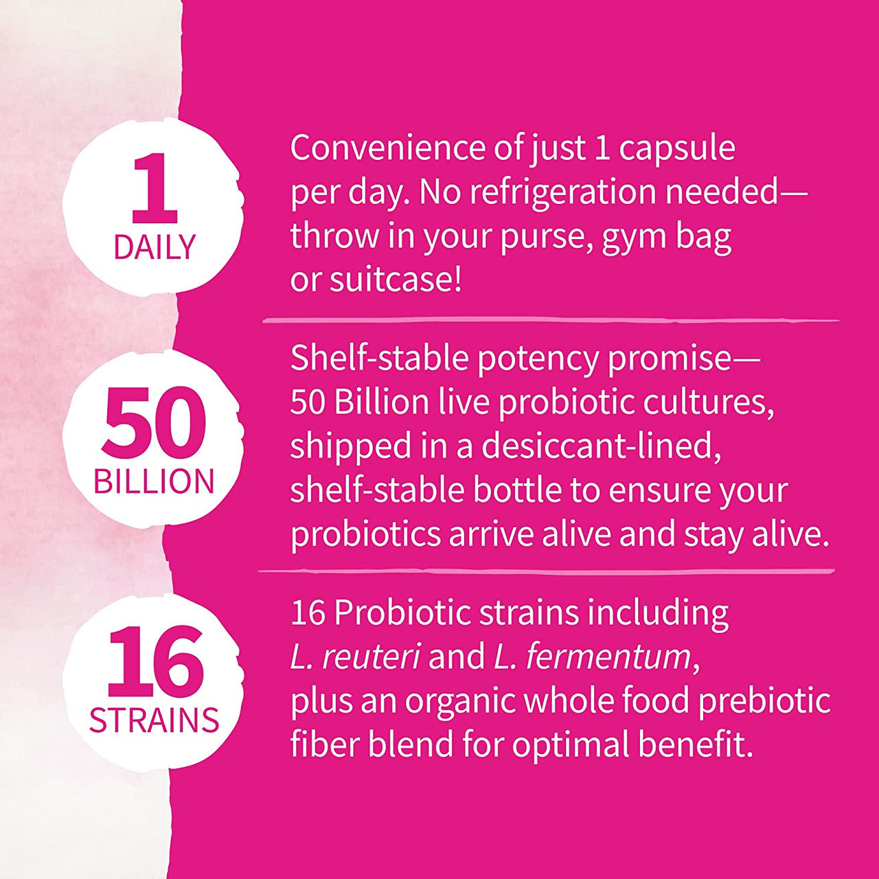 Garden of Life Womens Probiotics Daily Care Capsules 30ct - GOODSZON Discount Store