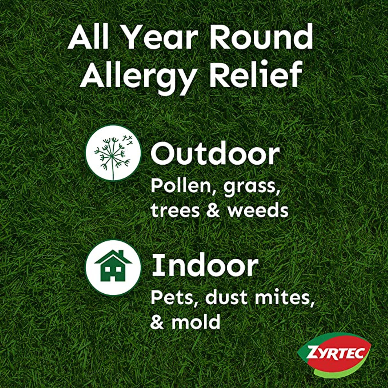 Zyrtec 24 Hour Allergy Relief Chewables, Cetirizine HCl, 24 Ct - GOODSZON Discount Store