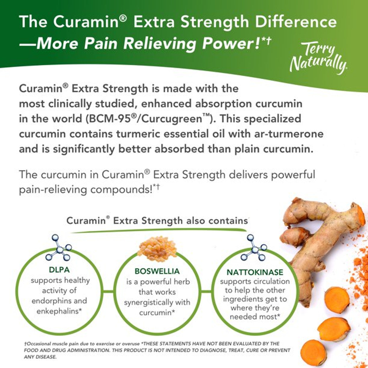 EuroPharma - Terry Naturally Curamin Extra Strength with BCM-95 - 120 Tablets - GOODSZON Discount Store