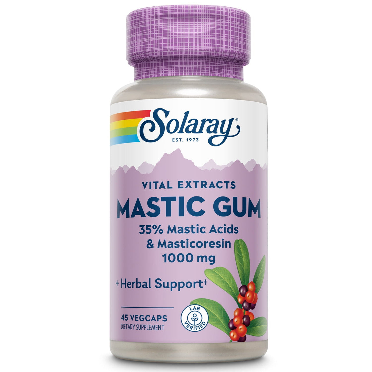Solaray Mastic Gum Extract | Healthy Gastrointestinal and Digestive Function Support | 1000 Mg | 45 VegCaps, 22 Servings - GOODSZON Discount Store