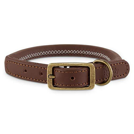 reddy brown leather dog collar, small by petco - GOODSZON Discount Store