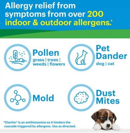 Claritin 24 Hour Allergy Medicine, Antihistamine Tablets, 10 mg, 100 Ct - GOODSZON Discount Store
