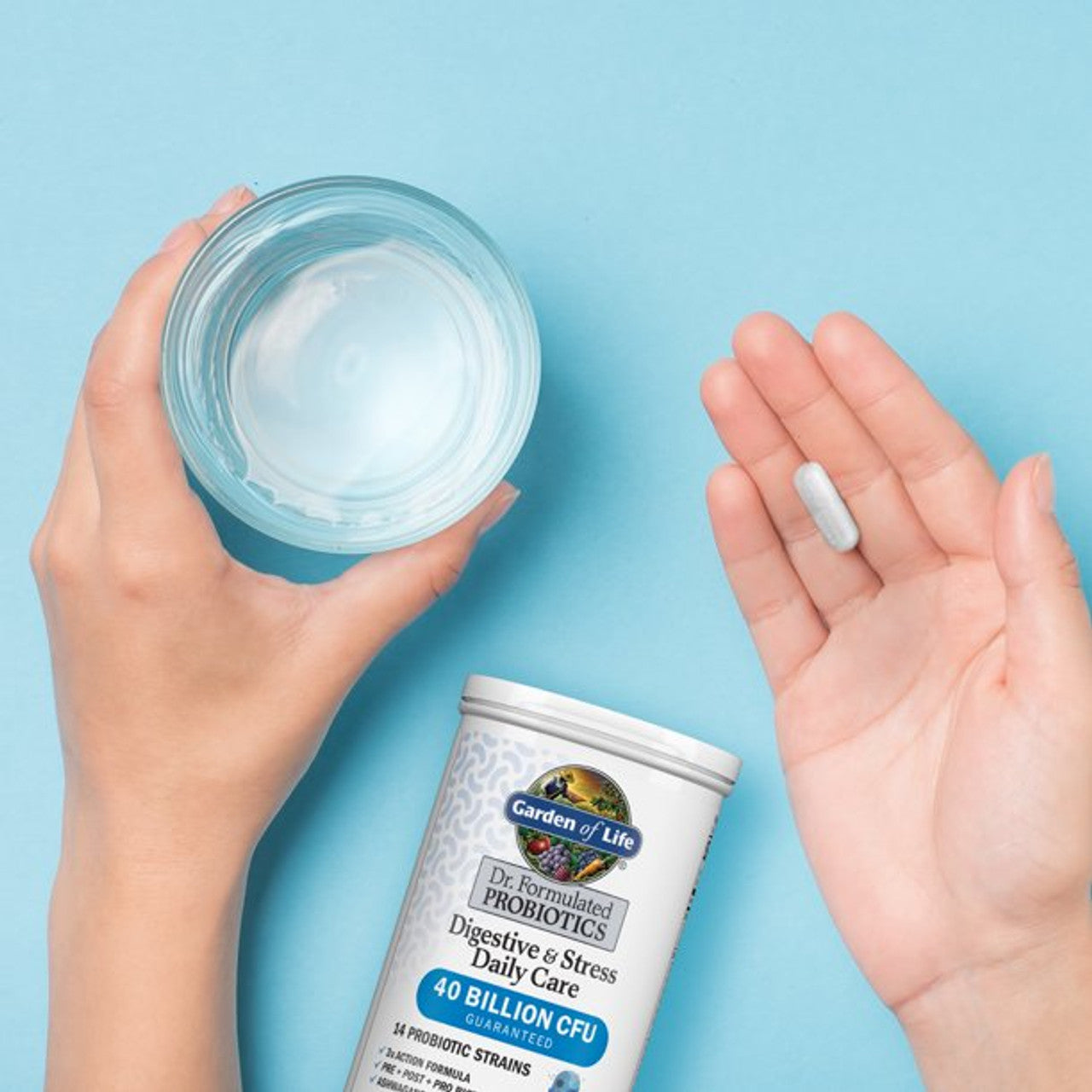 Garden of Life Dr. Formulated Digestive & Stress Probiotics | 30ct - GOODSZON Discount Store