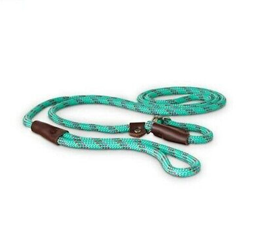 Good2Go Rope Adjustable Looped Dog Collar & Leash Training Design Teal 6 ft. - GOODSZON Discount Store