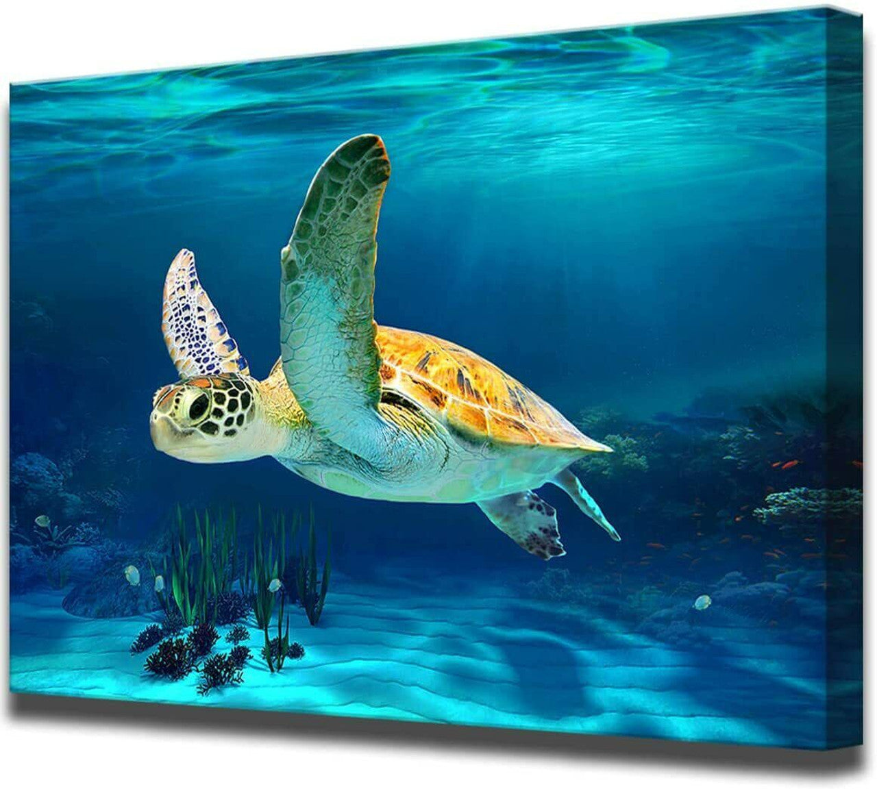 Bathroom Decoration Beach Turtle art Marine design Turtle picture Art 40x60 cm - GOODSZON Discount Store