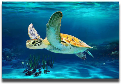 Bathroom Decoration Beach Turtle art Marine design Turtle picture Art 40x60 cm - GOODSZON Discount Store