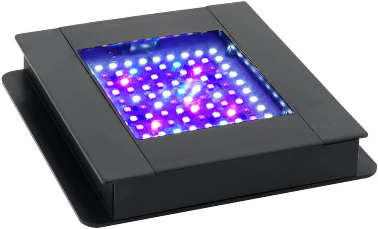 Fluval Sea Marine Bluetooth LED Nano Aquarium Light - GOODSZON Discount Store