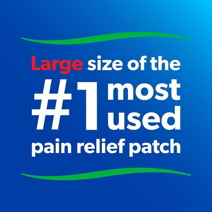 Salonpas Pain Relieving Patch 60 pc Exp 2025 - GOODSZON Discount Store
