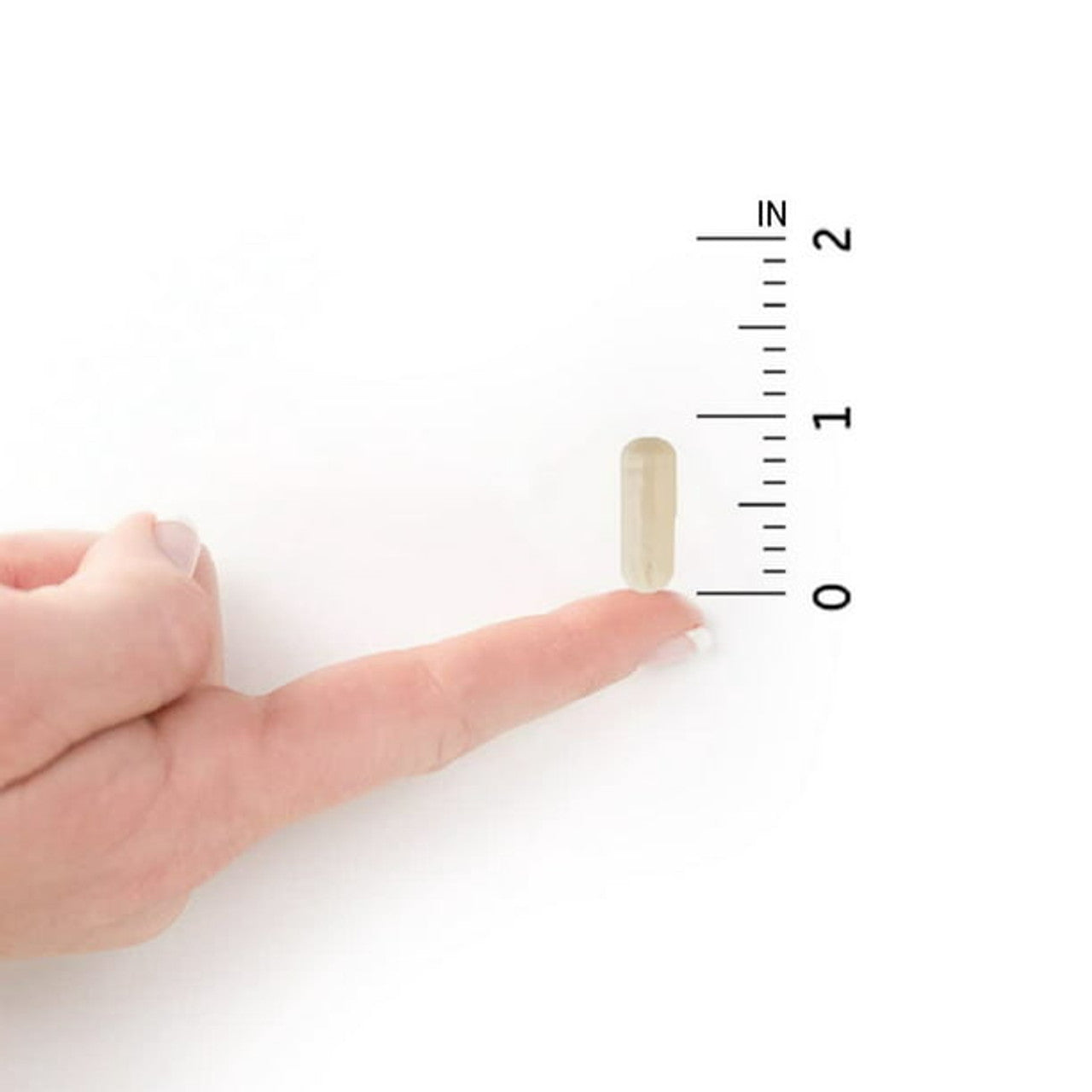 Garden of Life Dr. Formulated Digestive & Stress Probiotics | 30ct - GOODSZON Discount Store