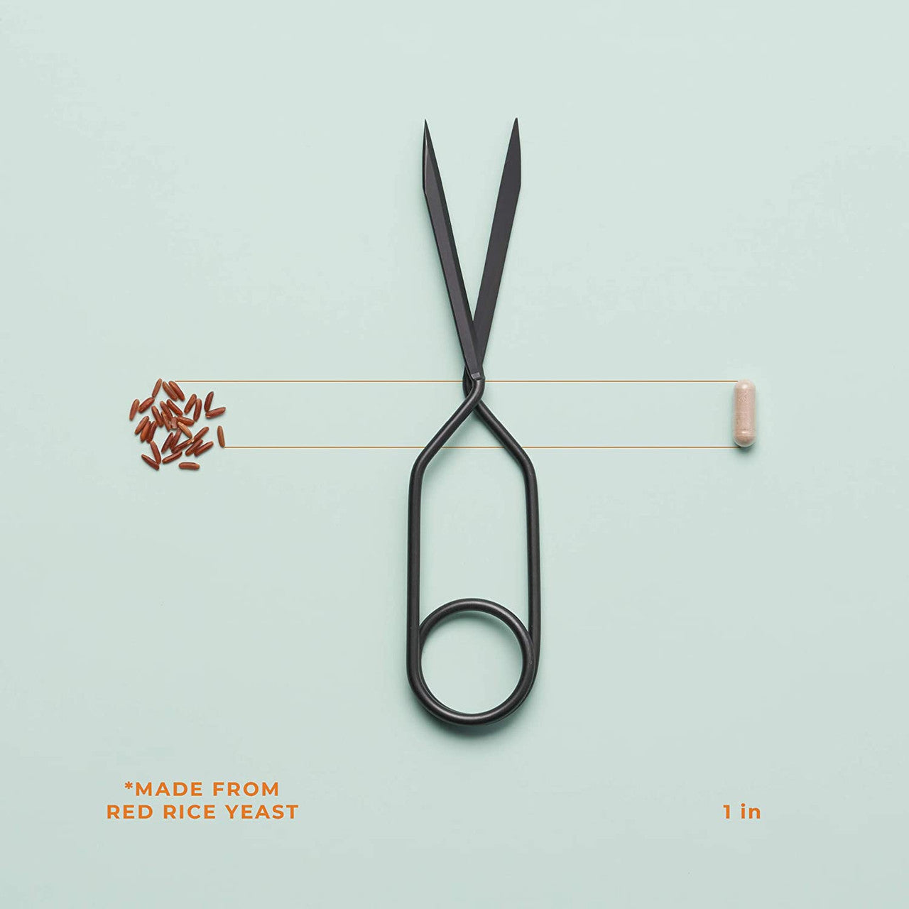 LifeSeasons - Choles-T - Natural Cholesterol Support Supplement - Aids in Heart and Liver Health - Contains Red Yeast Rice - 90 Capsules - GOODSZON Discount Store