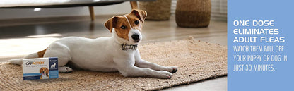 PETARMOR CAPACTION Fast-Acting Oral Flea Treatment for Small Dogs (2-25 lbs), 6 Doses, 11.4 mg - GOODSZON Discount Store