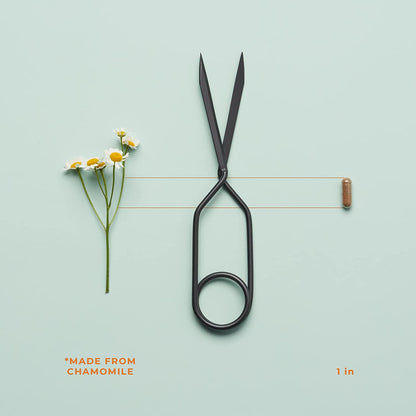 LifeSeasons - Rest-ZZZ - Natural Sleep Supplement - Aids Restlessness - Maintain a Calm and Relaxed State Without Feeling Groggy in the Morning - Low Dose Melatonin, Chamomile - 60 Capsules - GOODSZON Discount Store