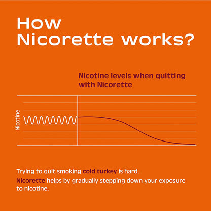 Nicorette Nicotine Gum Stop Smoking Aid, 2 mg, Fruit Chill Flavor - 160 Count - GOODSZON Discount Store