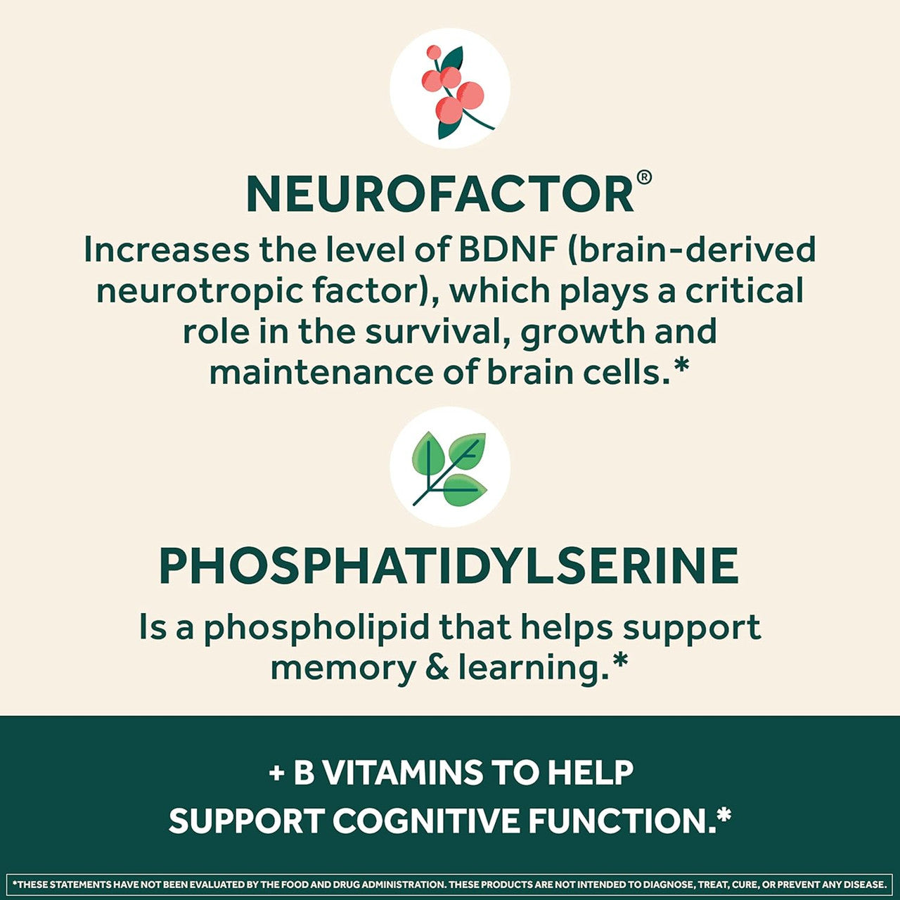 NEURIVA Plus Brain Supplement for Memory and Focus Clinically Tested Nootropics for Concentration for Mental Clarity, Cognitive Enhancement Vitamins B6, B12, Phosphatidylserine 30 Capsules - GOODSZON Discount Store