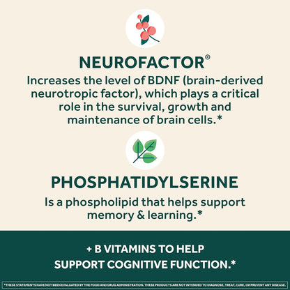 NEURIVA Plus Brain Supplement for Memory and Focus Clinically Tested Nootropics for Concentration for Mental Clarity, Cognitive Enhancement Vitamins B6, B12, Phosphatidylserine 30 Capsules - GOODSZON Discount Store