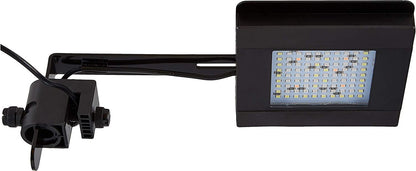 Fluval Sea Marine Bluetooth LED Nano Aquarium Light - GOODSZON Discount Store
