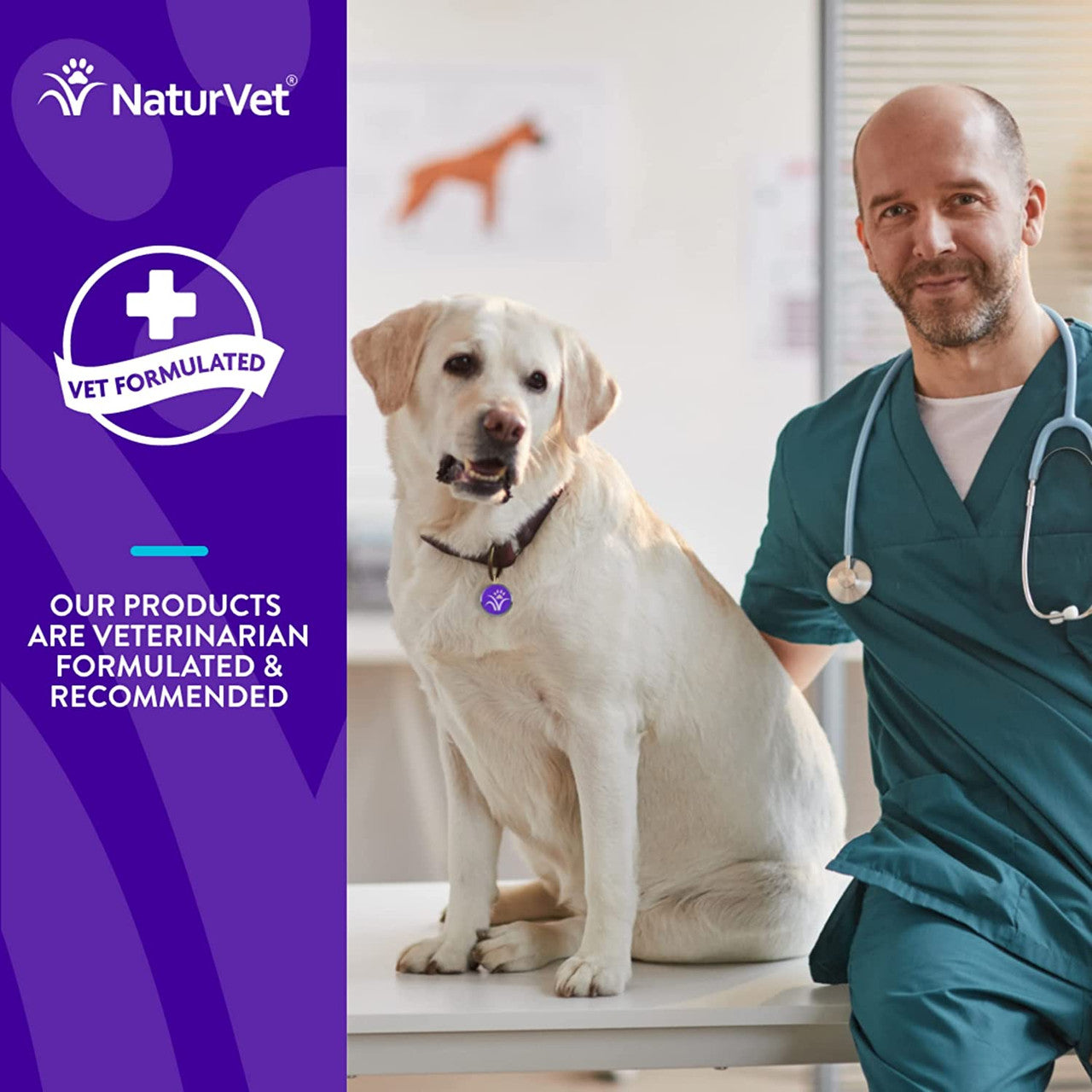 NaturVet Evolutions Probiotic + Superfoods Digestive Powder 30 Sachets Dogs - GOODSZON Discount Store
