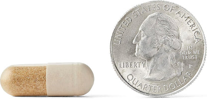 Neuriva Ultra Decaffeinated Clinically Tested Nootropic Brain Supplement for Mental Alertness, Memory, Focus & Concentration, Cognivive, Neurofactor, Phosphatidylserine, Vitamins B6 B12, 60ct Capsules - GOODSZON Discount Store