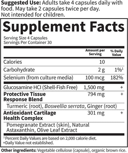 Garden of Life Glucosamine Supplement, FYI Ultra Ultimate Joint and Cartilage Support for Women and Men, 1,500 mg Glucosamine HCI, Turmeric, Astaxanthin - Vegetarian & Shell-Fish Free, 120 Capsules - GOODSZON Discount Store