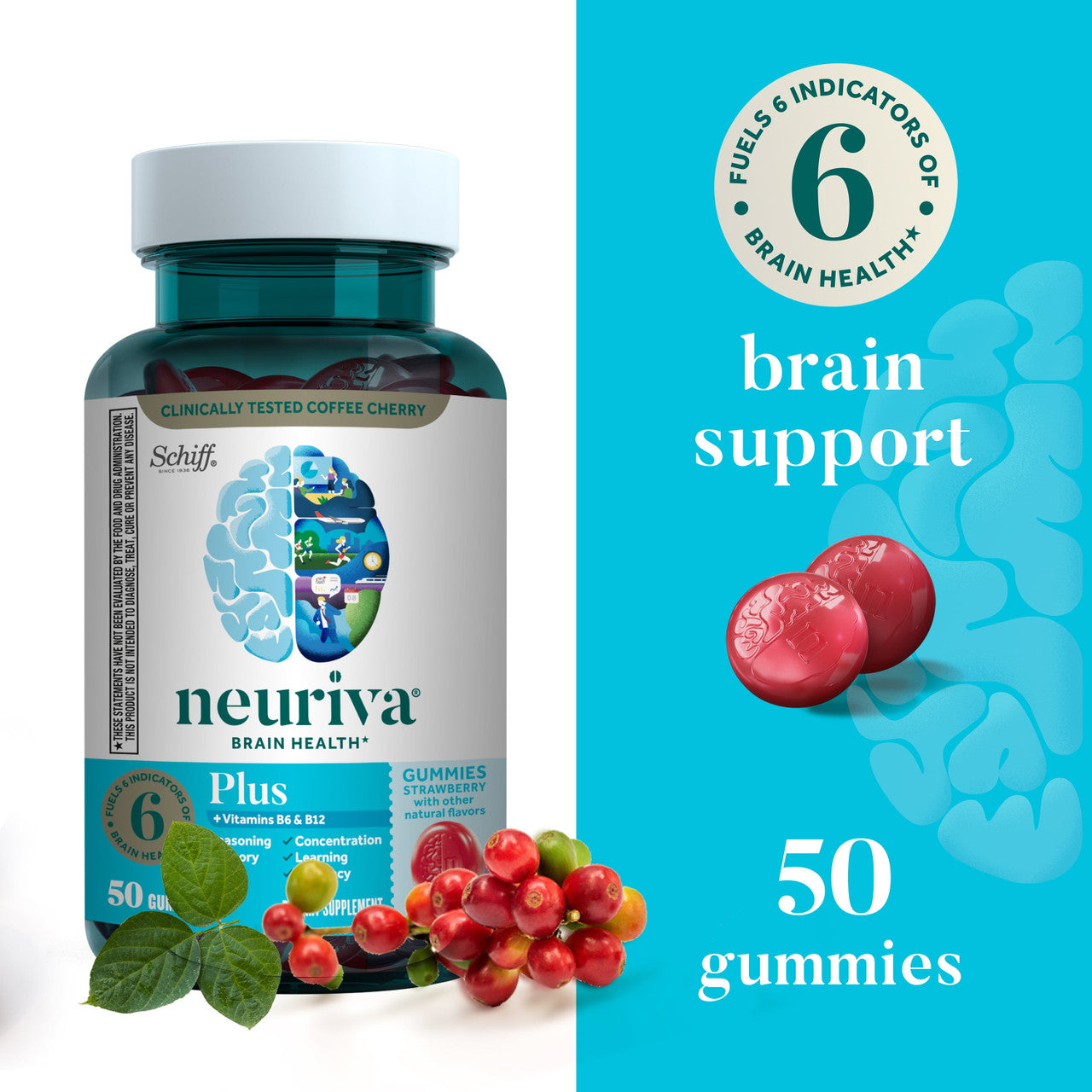 Neuriva Plus Brain Health Support Strawberry Gummies (50 count), Brain Support With Phosphatidylserine, Vitamin B6 & Decaffeinated, Clinically Tested Coffee Cherry - GOODSZON Discount Store