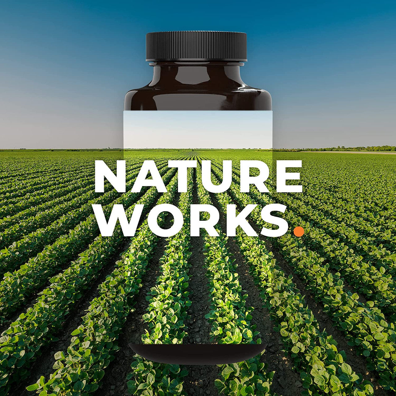 LifeSeasons - Choles-T - Natural Cholesterol Support Supplement - Aids in Heart and Liver Health - Contains Red Yeast Rice - 90 Capsules - GOODSZON Discount Store