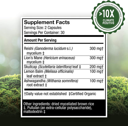 Host Defense Myco Botanicals Stress Decompress Calm 60 Capsules EXP 01/2024 - GOODSZON Discount Store