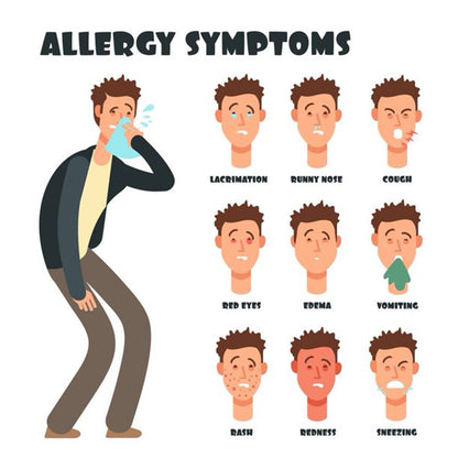 Allegery Walgreens-flex , 90 tablets, 24 Hour Relief - GOODSZON Discount Store