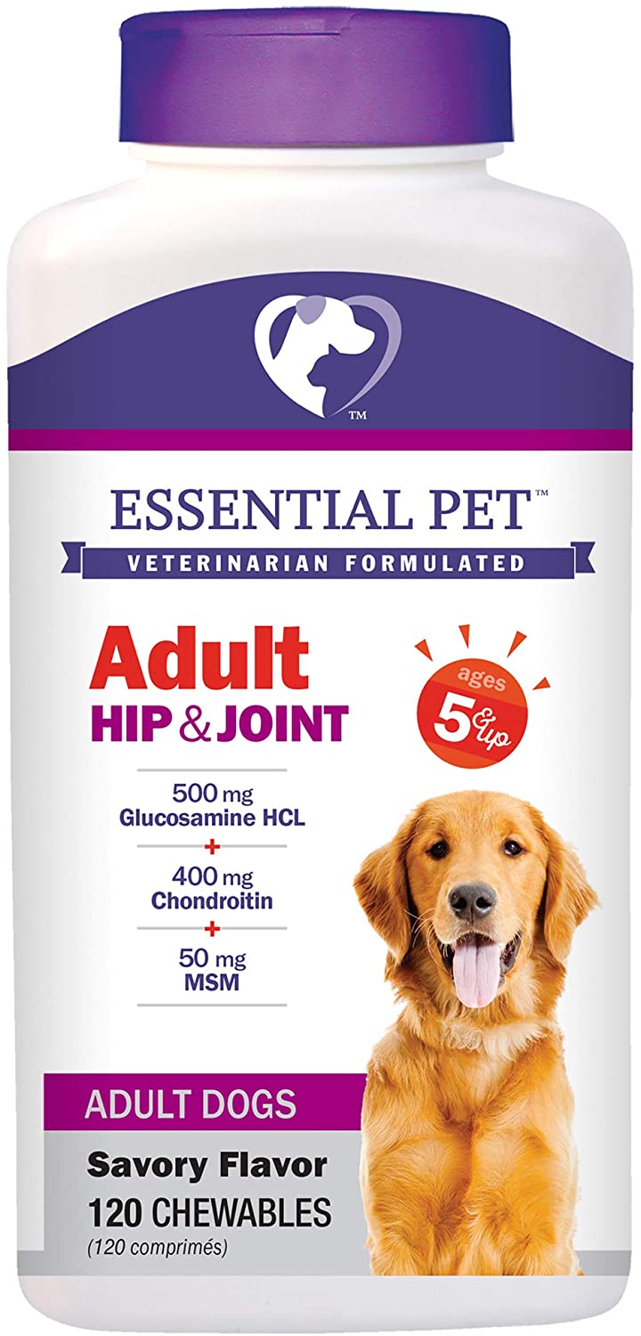 21ST CENTURY - GOODSZON Discount Store