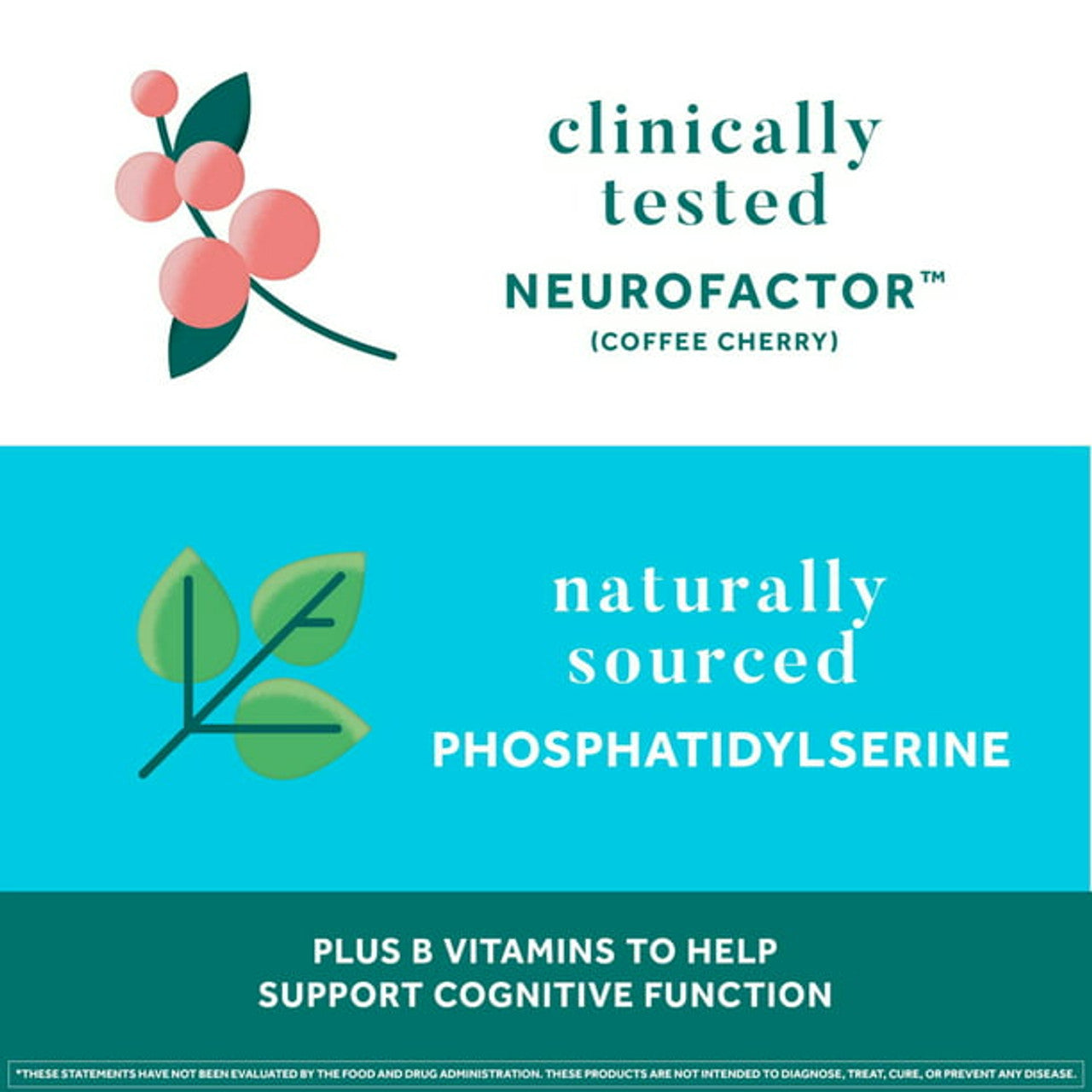 Neuriva Plus Brain Health Support Strawberry Gummies (50 count), Brain Support With Phosphatidylserine, Vitamin B6 & Decaffeinated, Clinically Tested Coffee Cherry - GOODSZON Discount Store