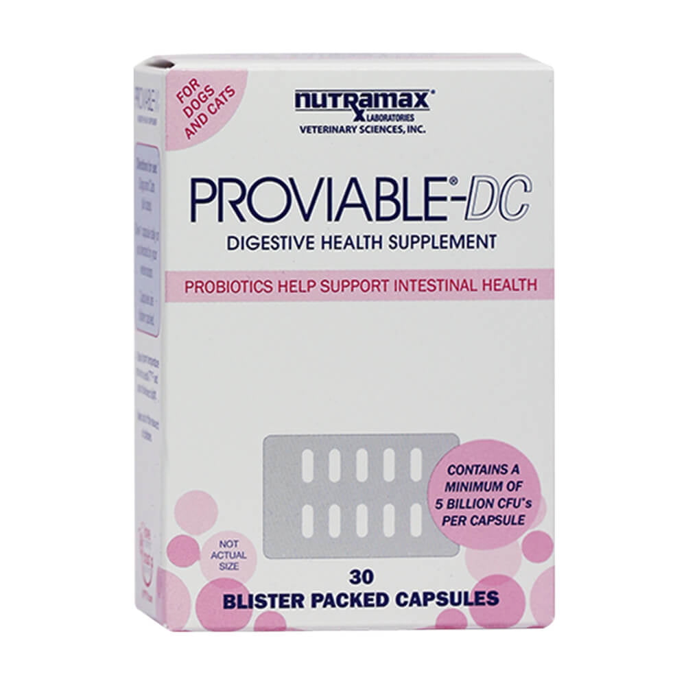 Nutramax Laboratories Proviable-DC Digestive Health Supplement for Dogs & Cats, 30 Capsules - GOODSZON Discount Store