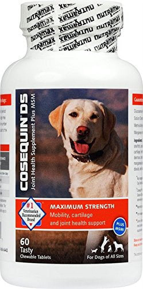 2 PACK | DS Plus MSM Joint Health Supplement for Dogs - GOODSZON Discount Store